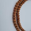 11 Mukhi Rudraksha Mala