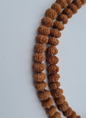 11 Mukhi Rudraksha Mala