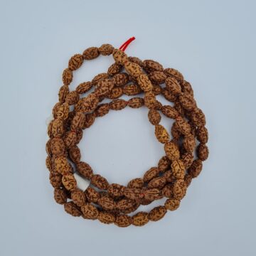 Rudraksh Mala - 2 Mukhi - Image 5