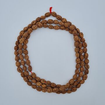 Rudraksh Mala - 2 Mukhi - Image 3