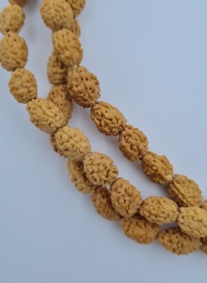 3 Mukhi Rudraksha Mala