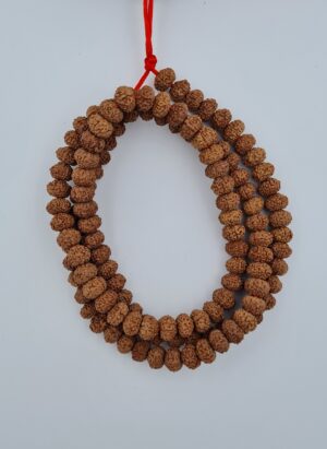8 Mukhi Rudraksha Mala