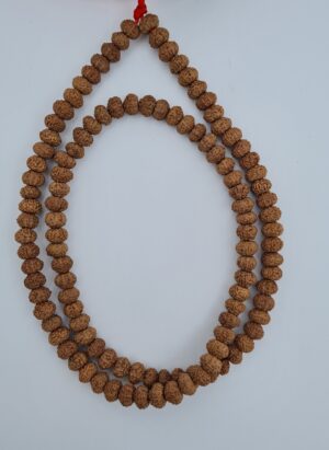 9 Mukhi Rudraksha Mala