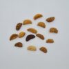 1 Mukhi Rudraksh