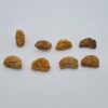 1 Mukhi Rudraksh