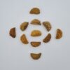 1 Mukhi Rudraksh