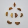 1 Mukhi Rudraksh