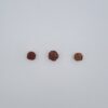 1 Mukhi Under-Developed