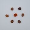 2 Mukhi Nepal