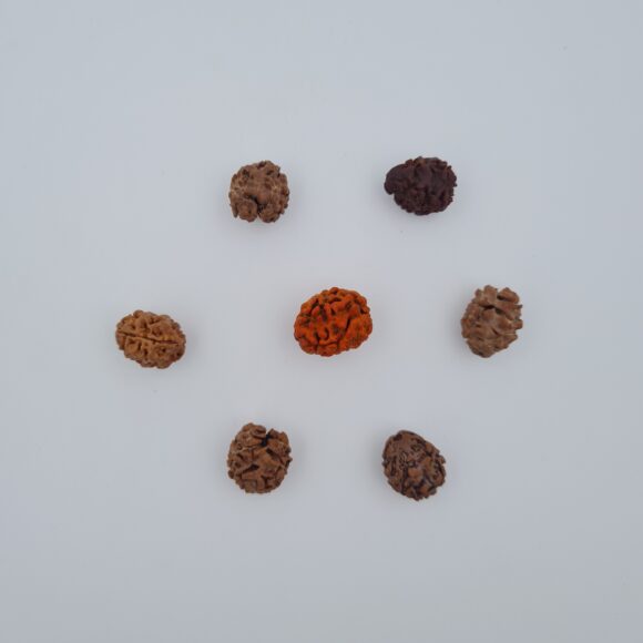 2 Mukhi Nepal