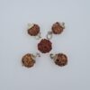 2 Mukhi Under-Developed Rudraksh Pendant