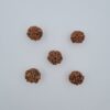 2 Mukhi Under-Developed Rudraksh