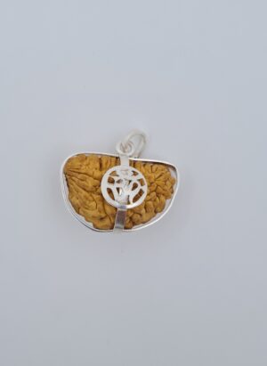1 Mukhi Rudraksh Silver Pendant