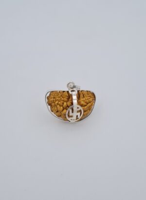 1 Mukhi Rudraksh Silver Pendant