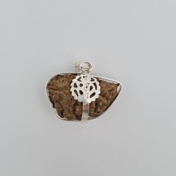 1 Mukhi Rudraksh Silver Pendant