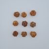 3 Mukhi Rudraksh Nepal