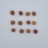 3 Mukhi Rudraksh Nepal