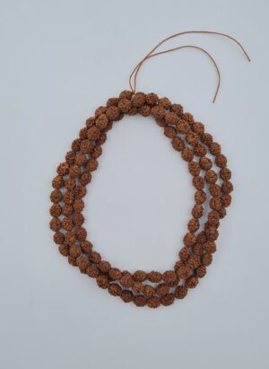 4 Mukhi 6 mm