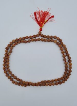 5 mukhi Rudraksh Mala