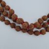 5 Mukhi Rudraksha Mala