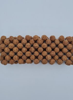 Rudraksh Bracelet