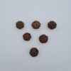 6 Mukhi Nepal Rudraksh