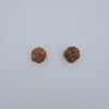 5 Mukhi Nepal Rudraksh
