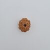 9 Mukhi Nepal Rudraksh