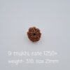 9 Mukhi Nepal Rudraksh