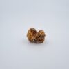 2 Mukhi Gauri Shankar Nepal Rudraksh