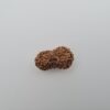 19 Mukhi Indonesia Rudraksh