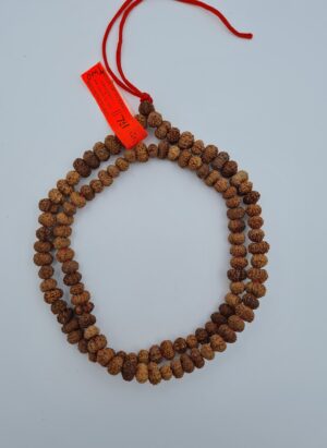 12 Mukhi Rudraksh Mala