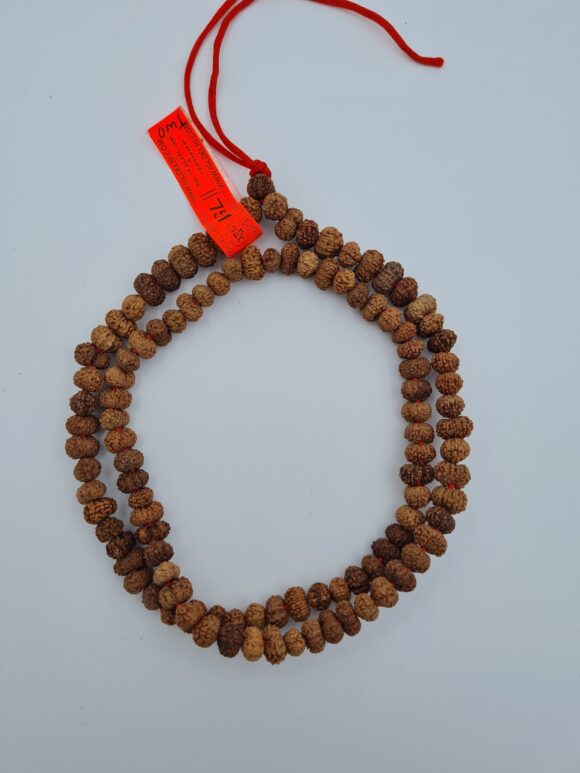 12 Mukhi Rudraksh Mala