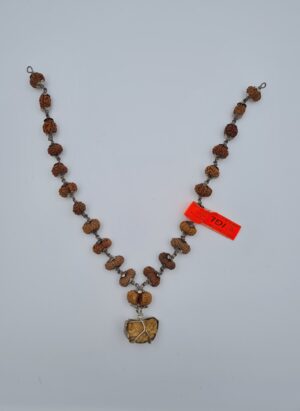 1-21 Mukhi Rudraksh Kantha