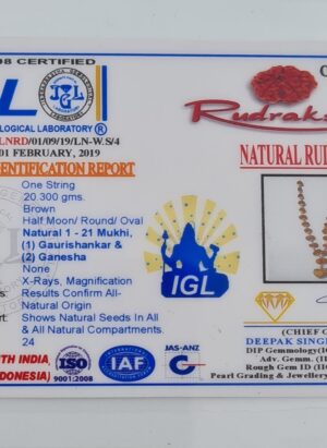 1-21 Mukhi Rudraksh Kantha