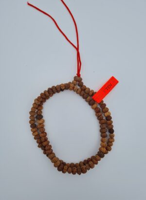 13 Mukhi Rudraksh Mala