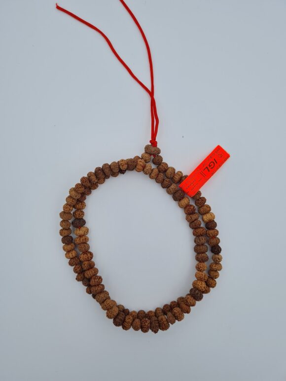 13 Mukhi Rudraksh Mala