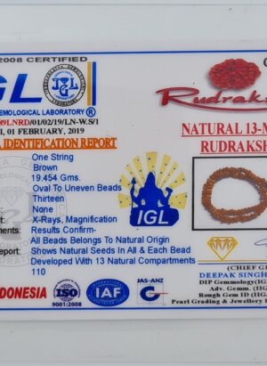 13 Mukhi Rudraksh Mala