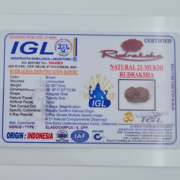 21 Mukhi Indonesia Rudraksh
