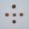 4 Mukhi Nepal Rudraksh