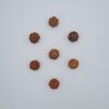 6 Mukhi Nepal Rudraksh