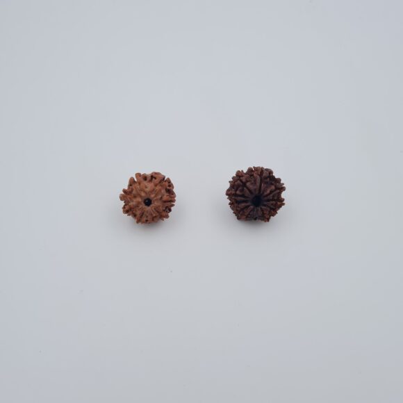 8 Mukhi Nepal Rudraksh