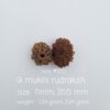 9 Mukhi Nepal Rudraksh