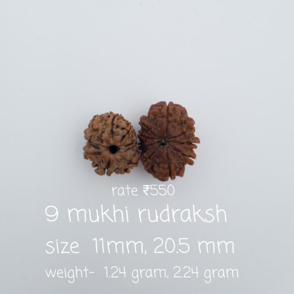 9 Mukhi Nepal Rudraksh
