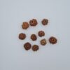 8 Mukhi Nepal Rudraksh