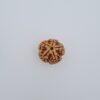 5 Mukhi Nepal Rudraksh