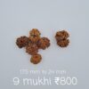 9 Mukhi Nepal Rudraksh