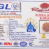 14 Mukhi Rudraksh - Nepal - 63000RD - Image 2