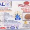 14 Mukhi Rudraksh - Nepal - 60378RD - Image 2