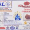 14 Mukhi Gauri-Shankar Rudraksh - Nepal - 57696RD - Image 4